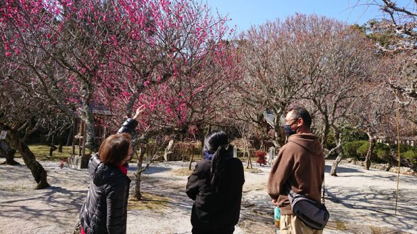 レクリエーション（梅観光）